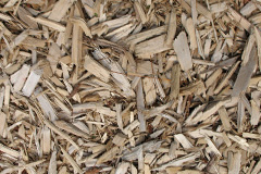biomass boilers Blagdon